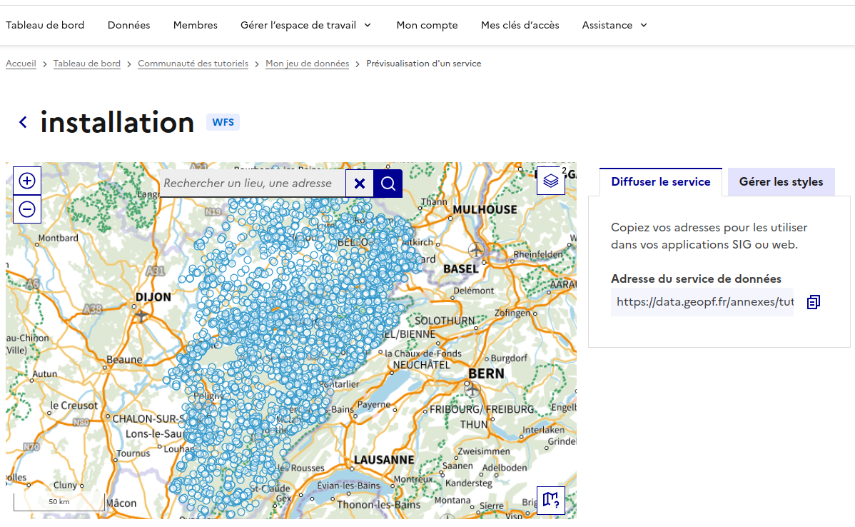 Visualisation d'un jeu de données publié en WFS, sans style